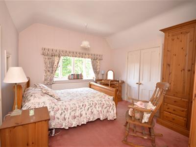 Picture 15